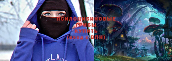 шишки Нефтегорск