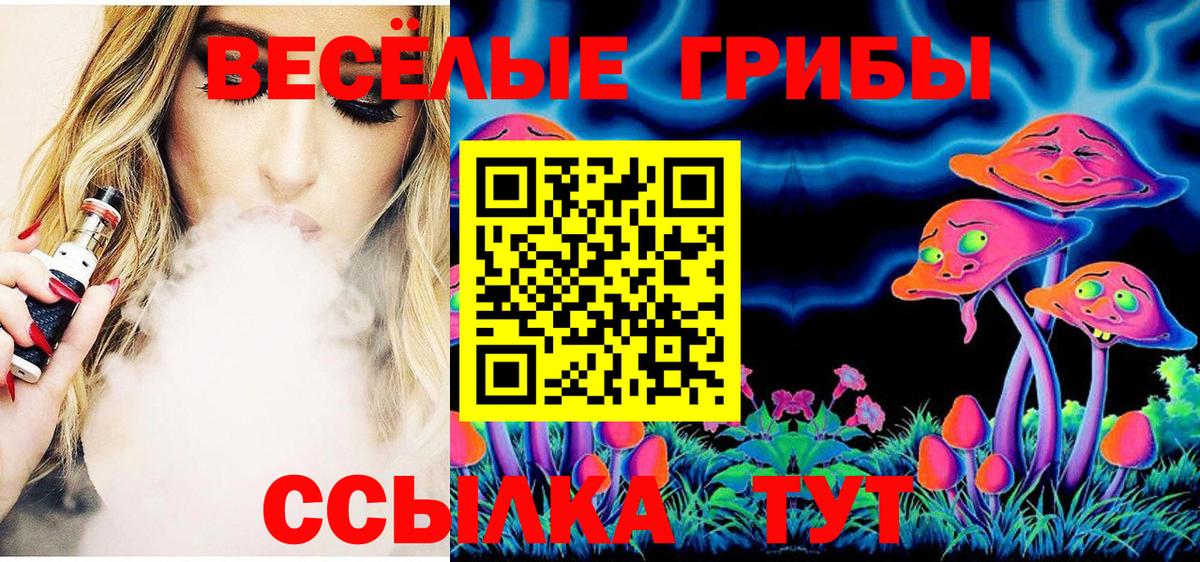 Галлюциногенные грибы Psilocybine cubensis Мытищи
